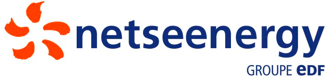 logo netseenergy